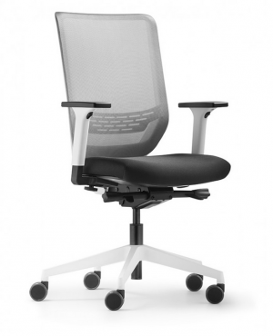 Black & White Dauphin