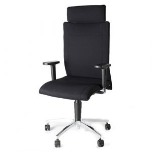 Cento XXL Kopf - DAUPHIN