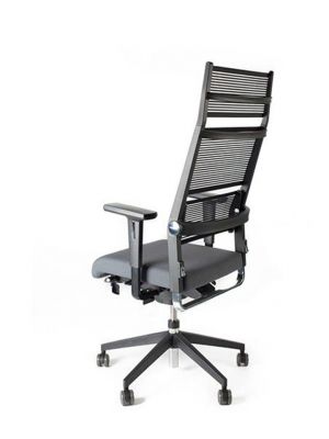 Lordo Kopf  - DAUPHIN