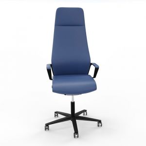 ZÜCO SIGNO 185 Leder Blau